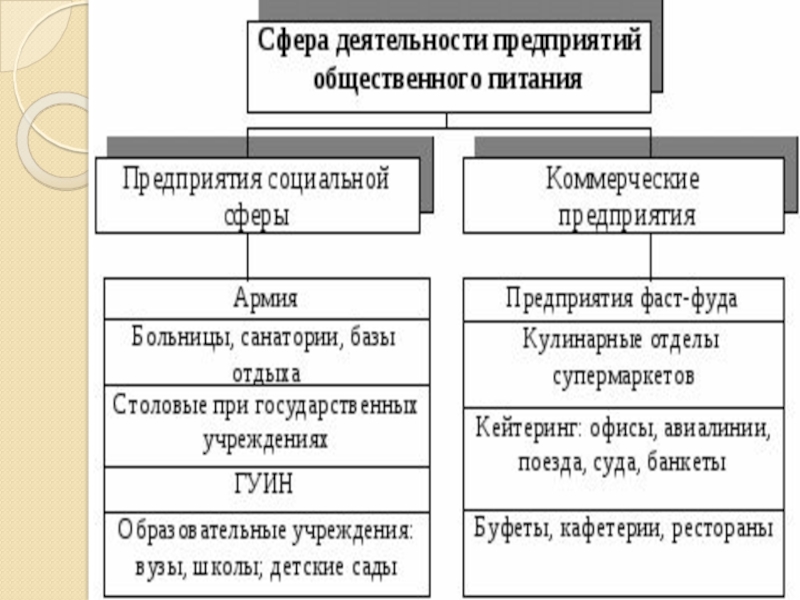 Сфера деятельности объекта. Сфера деятельности предприятия общественного питания. Вид деятельности Общественное питание. Рекламная деятельность предприятия общественного питания. Типы предприятий общественного питания государственные частные.