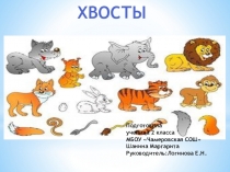 Проектная работа по теме Хвосты