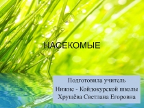Презентация по окружающему миру на тему Насекомые.