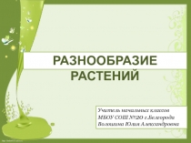 Презентация по окружающему миру разнообразие растений (3 класс)