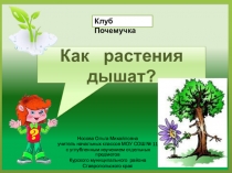 Почемучка Как растения дышат?