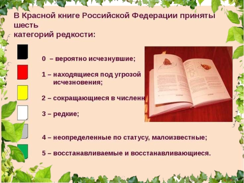 Категории книг. Категории красной книги. Категории редкости красной книги. 3 Категория красной книги. Категория статуса редкости в красной книге.