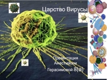 Царство Вирусы