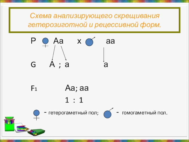 Как можно назвать скрещивание представленное на схеме aa x aa