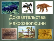 Презентация по биологии на тему  Доказательства эволюции.