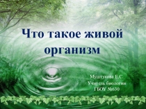 Презентация для 5 класса Введение
