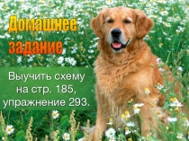 Презентация по русскому языку на тему Обособленные определения (8 класс)