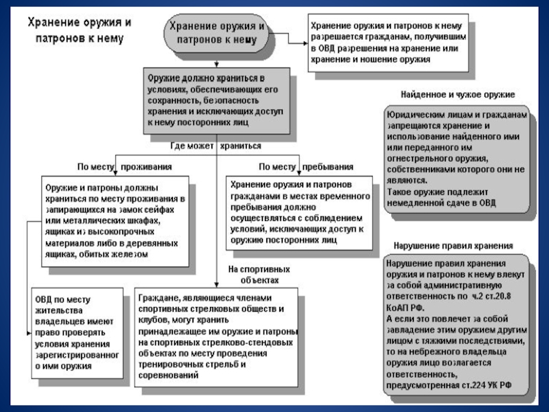 Презентация фз об оружии