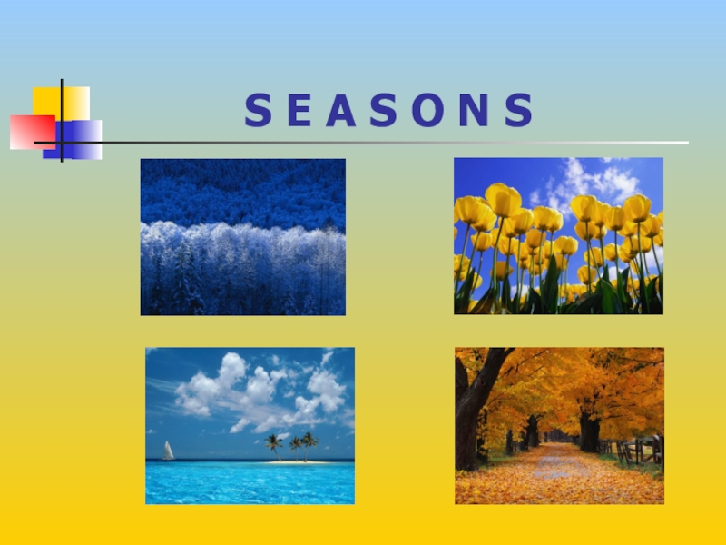 Seasons and weather презентация 2 класс