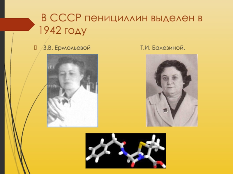 Первые образцы пенициллина в ссср были получены в лаборатории которой руководила з в ермольева