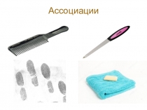 Значение и строение кожи