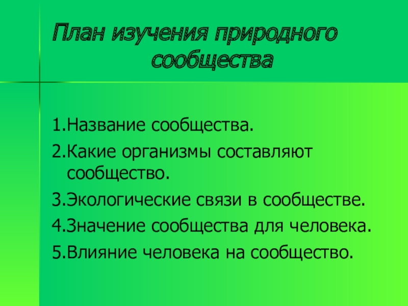 Какие организмы составляют. План изучения природного сообщества. План изучения природного сообщества лес. План по изучению природного сообщества. План -характеристика природного сообщества.