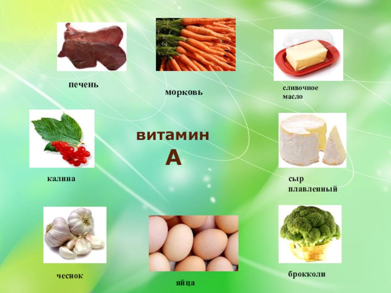 Витамин с в продуктах питания проект