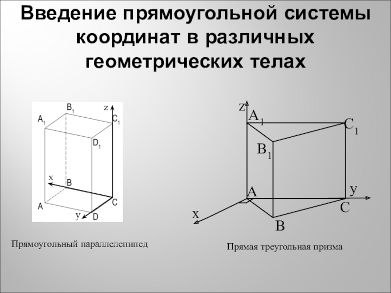 11 координат. Координатный метод в треугольной призме. Арищма. Впрямоугольной системе координат. Треугольная Призма на координатной плоскости. Прямоугольная система координат в шестиугольной призме.