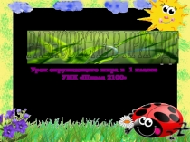 Презентация по окружающему миру 2 класс