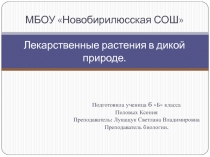 Учебный проект по биологии на тему  Лекарственные растения