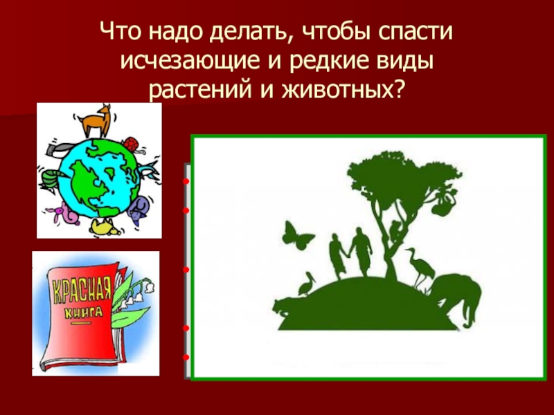 Сохраняй вид. Что нужно сделать чтобы уберечь исчезающие виды растений и животных. Спасти исчезающие виды растений и животных. Что надо делать чтобы спасти исчезающие. Способы сохранения исчезающих видов животных и растений.