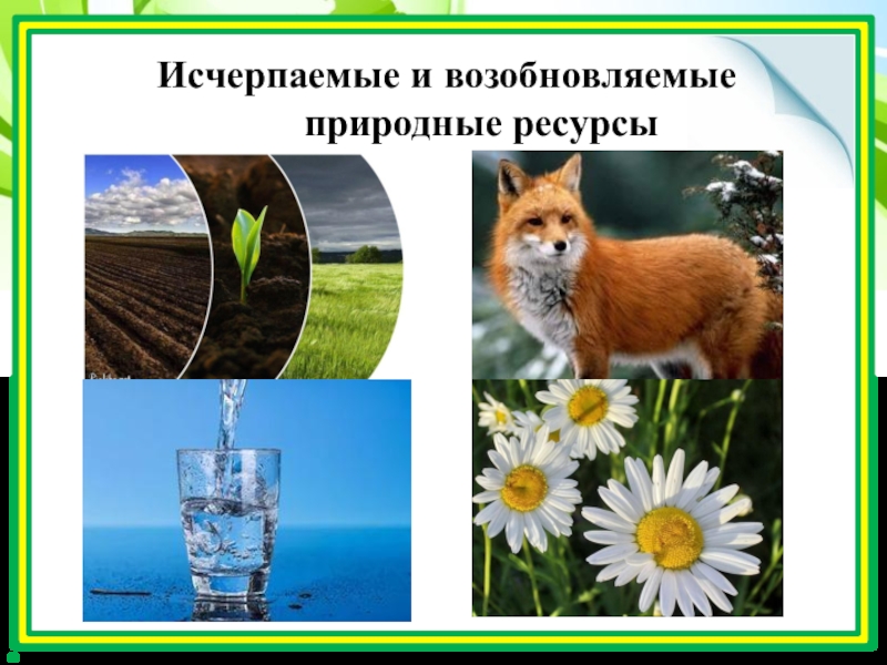 Исчерпаемые природные ресурсы. Исчерпаны природные ресурсы. Возобновляемые природные ресурсы. Исчерпаемые возобновляемые ресурсы.