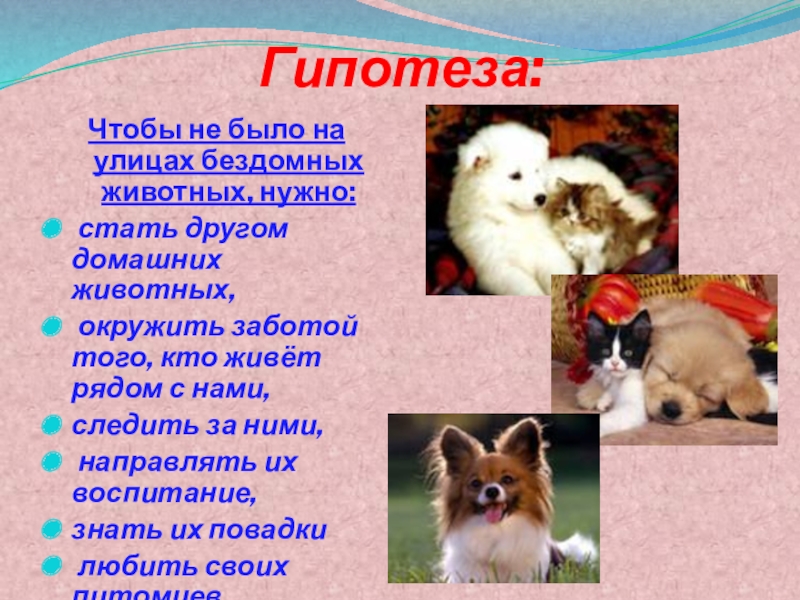 презентация защита животных. причины появления бездомных животных на улицах.