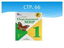 Презентация к уроку окружающего мира на тему Куда текут реки? 1 класс