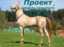 Презентация по окружающему миру для 4 класса Коневодство