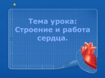 Презентация к теме урока  Строение и работа сердца