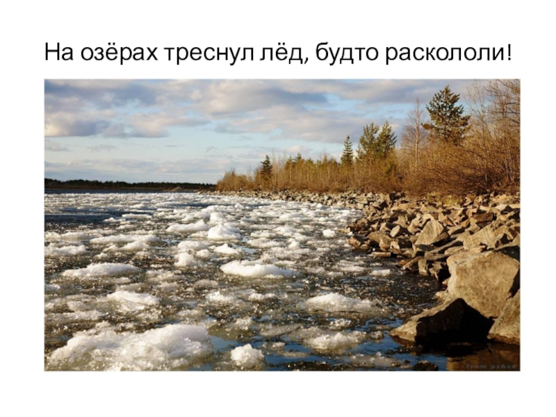 на озерах треснул лед будто. снег теперь уже. ледяной покров земли. стих маршака снег теперь уже не тот. треснутый тонкий лед на реке.
