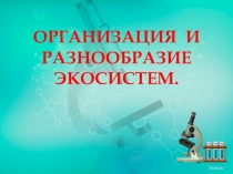 Презентация по биологии на тему Разнообразие экосистем