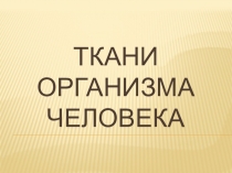Презентация по биологии на тему Ткани организма человека (8 класс)