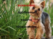 Презентация по определению проблемы текста(продолжение)