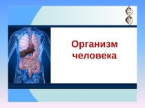 Организм человека для 3 класса