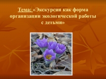 Экскурсии как форма организации экологической работы с детьми дошкольного возраста