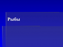 Презентация к занятию биологического кружка Рыбы