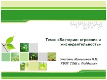 Жизнедеятельность бактерий