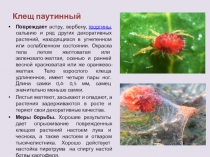 Презентация по Цветоводству на тему Виды удобрений