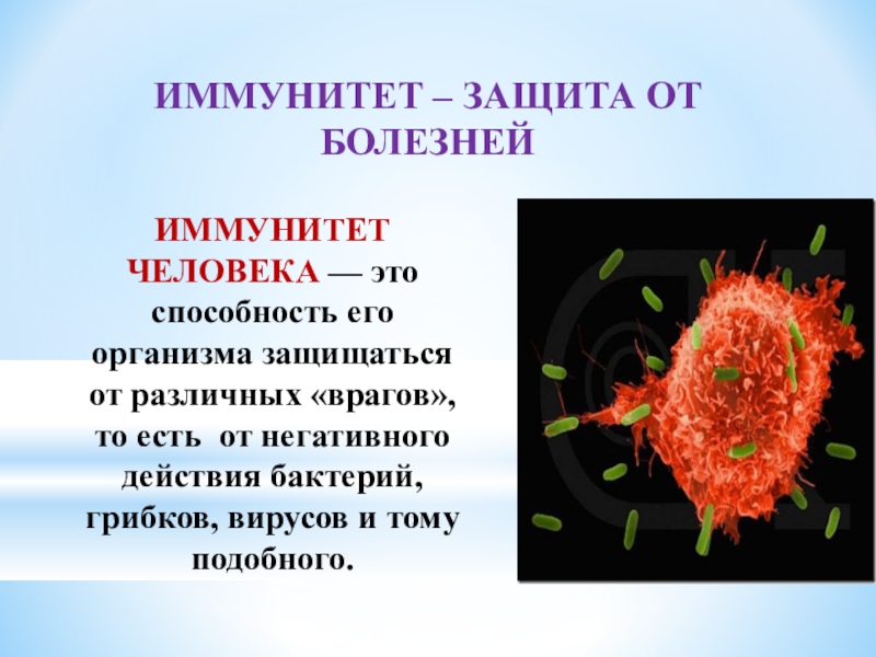 Картинка иммунитет человека