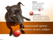 Презентация социального проекта Спешите делать добро