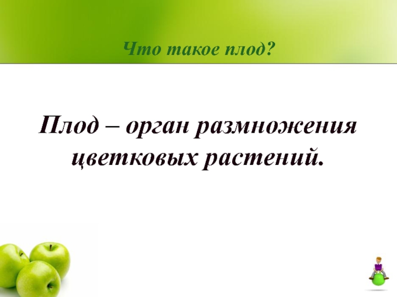 Что такое плод. Плод. Плод орган размножения цветковых растений. ПЛРД. Плод это организм размножения цветковых растений.