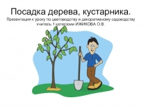 Презентация по биологии Посадка дерева