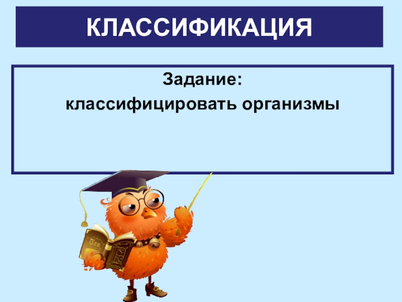 Запишите задание на классификацию. 5 Класс задания на классификацию организмов. Задание на классификацию животных. Классификация задач по биологии. Prezentaciya po teme klassifikaciya orqanizmov 5 Klass.