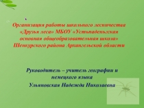 Презентация Отчёт по экологическому воспитанию
