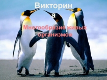 Презентация к игре по биологии Многообразие живых организмов 5-6 класс