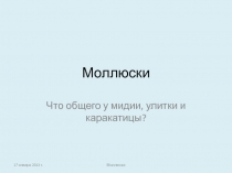 Презентация к уроку Тип Моллюски