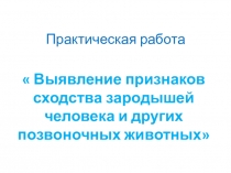 Презентация по биологии на тему Выявление признаков сходства зародышей человека и других позвоночных животных