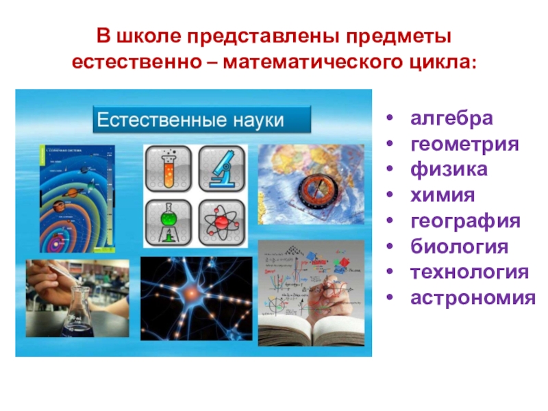 Естественно математического. Предметы естественно-математического цикла. Предметы математического и естественнонаучного цикла. Предметы естественного цикла. Предметы естественно-математич. Цикла;.