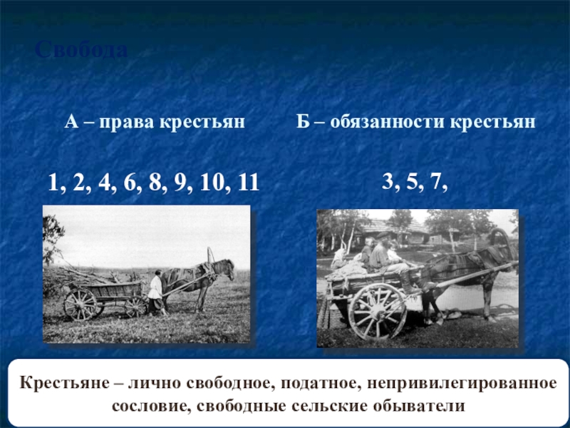 2 обязанные крестьяне. Права и обязанности крестьян. Права сельских обывателей. Права сельских обывателей в 18 веке. Обязательства обязанных крестьян.