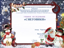 Презентация к исследовательской работе по теме Снеговик