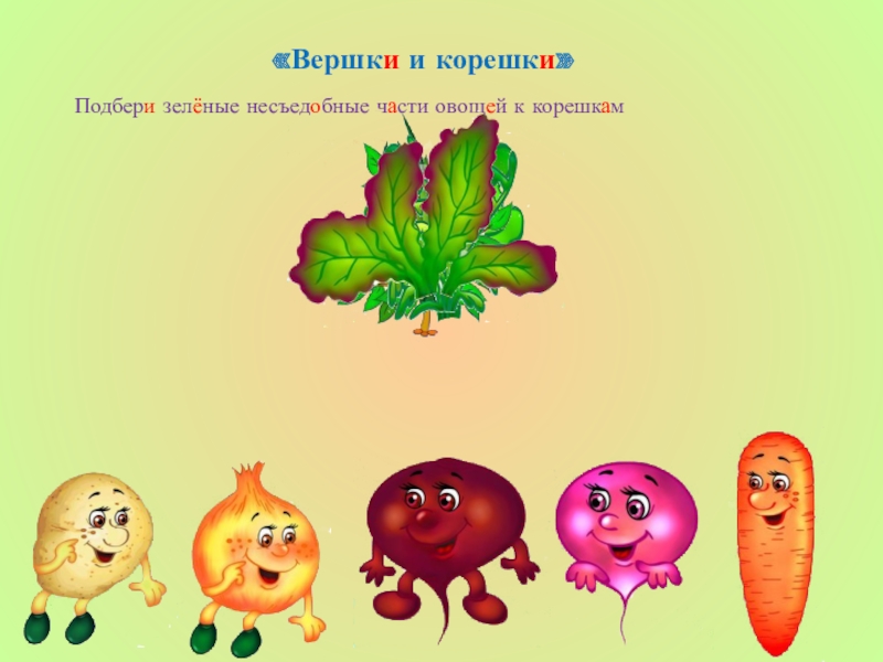 Вершки и корешки картинки для детей