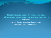 Презентация по биологии на тему Шиповник 7 класс