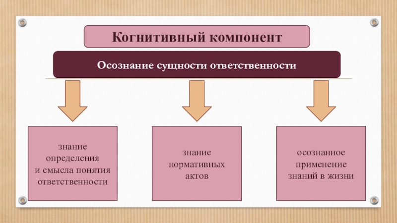 Когнитивный эмоциональный деятельностный